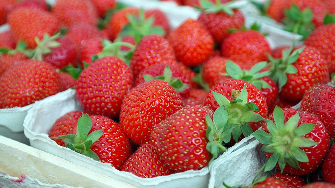 Les fruits et légumes du mois : juin