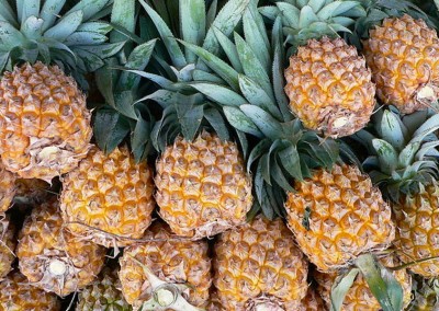 Ananas