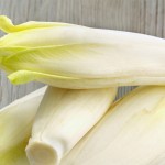 Endive