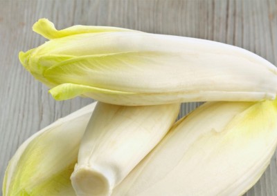 Endive