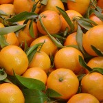 Mandarine