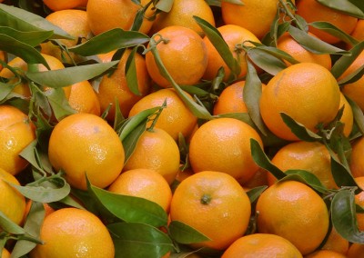 Mandarine