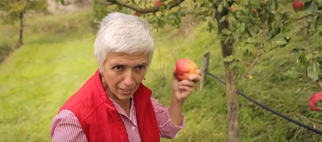 Isabella sauve 400 variétés de fruits oubliées