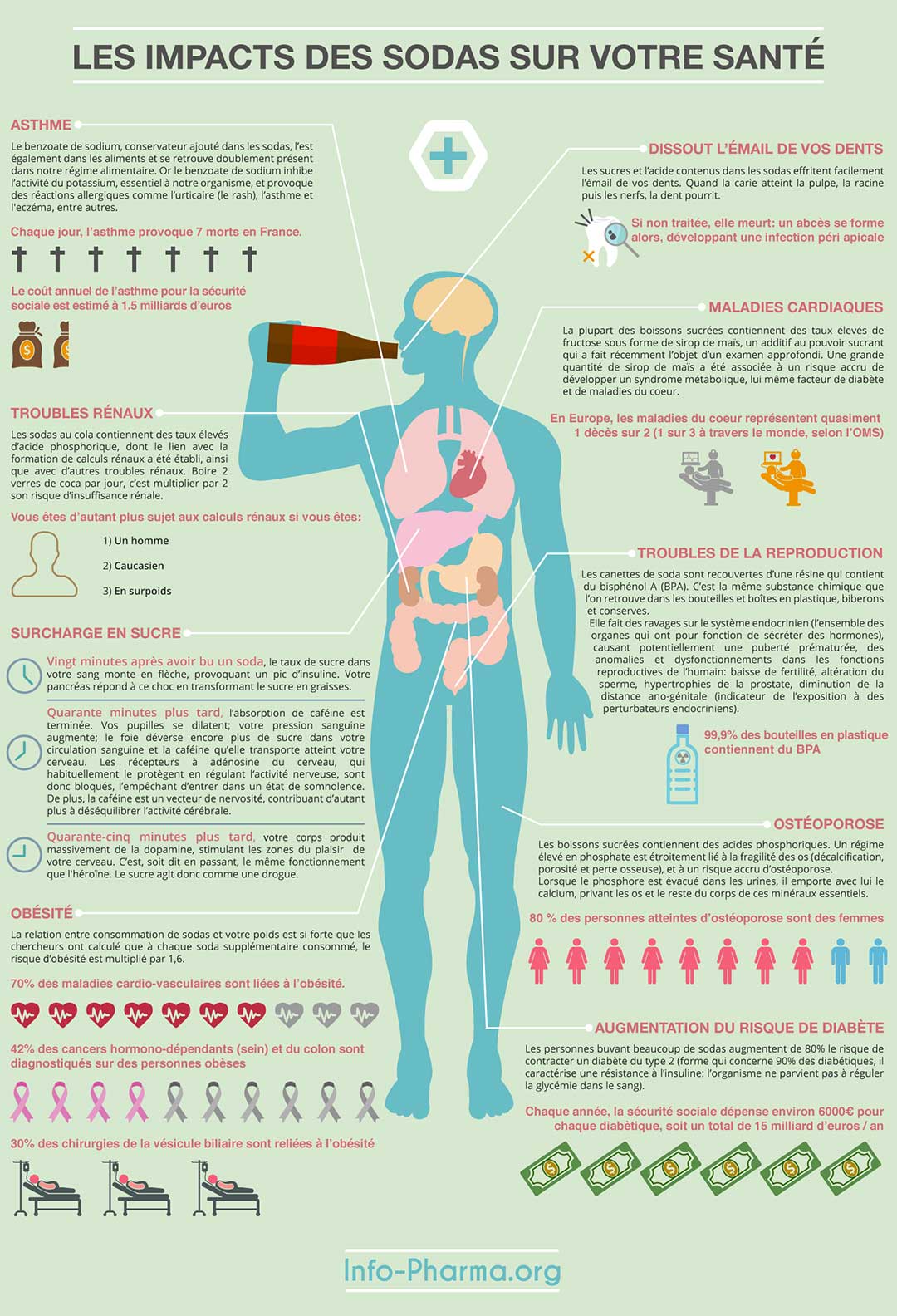 Les impacts des sodas sur votre santé (Source : info-pharma.org)