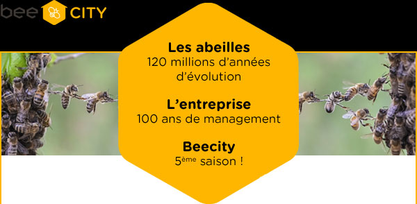 Événement BeeCity : Abeilles et management, inspirons-nous du vivant !