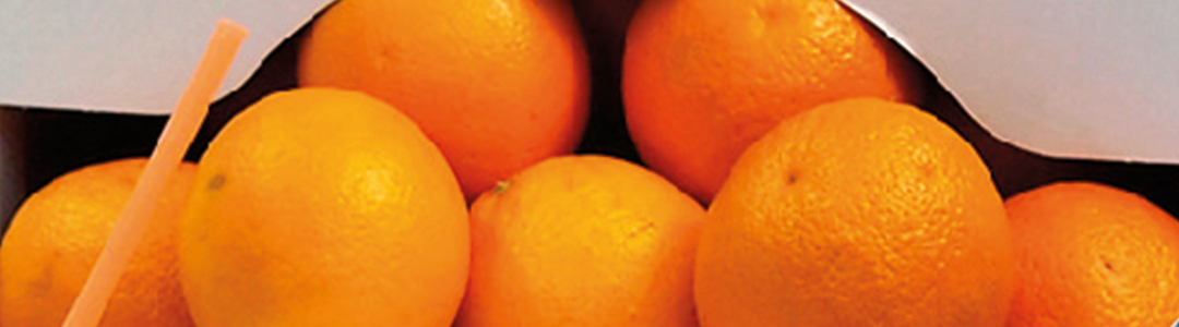 Orange Box