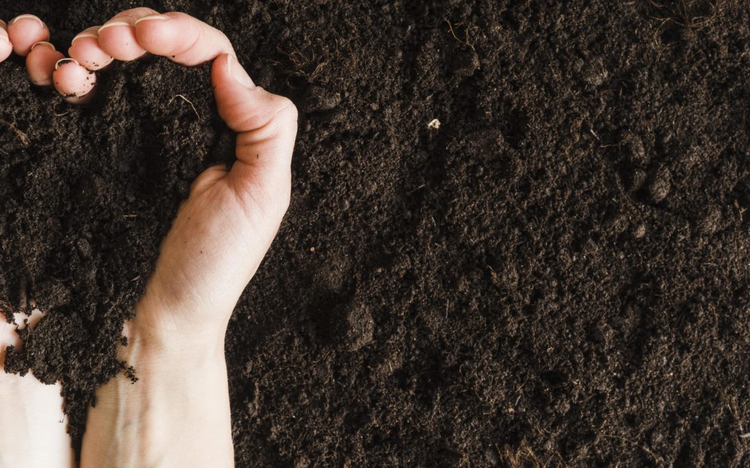 Les clés pour apprendre à réaliser son compost domestique
